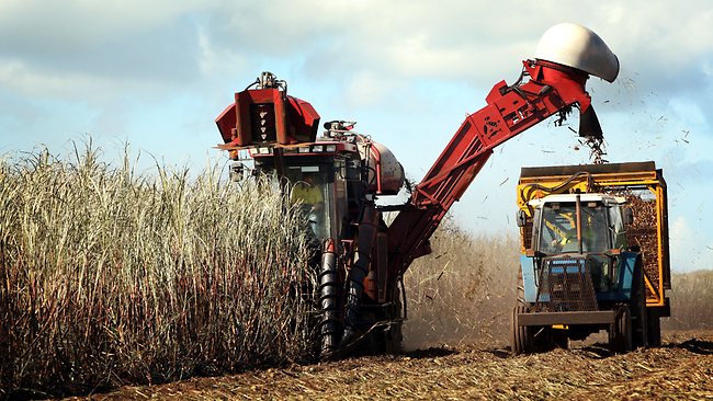 China and Singapore battle it out for Proserpine mill